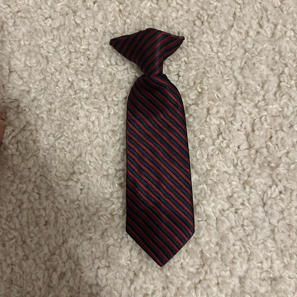 Boy’s Pinnable Tie